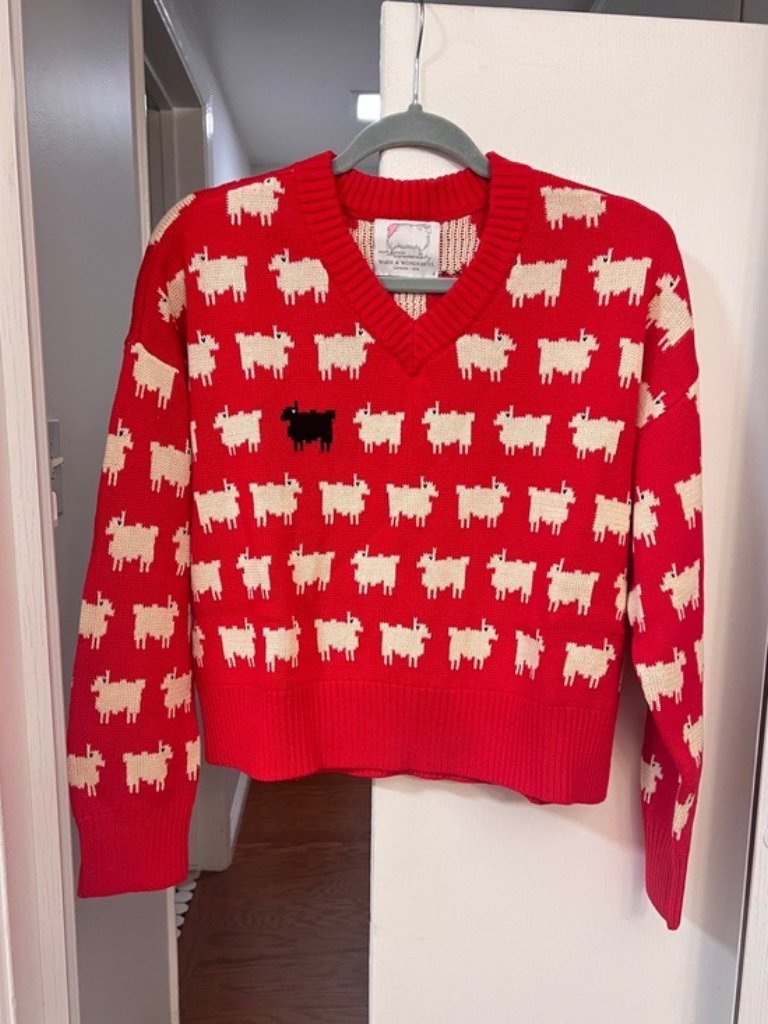 Warm & Wonderful Women's Diana Edition Cotton Linen V-Necksheep Sweater Red, S M — image 4 of 8